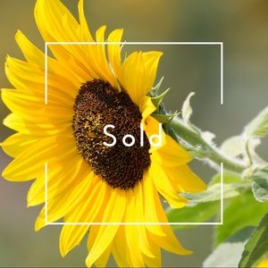 Everything below this point is sold/unavailable